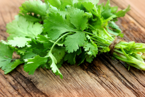 Coriander Juice For Dark Eye Circles