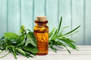 Tea Tree Oil For Cystic Acne Around Mouth 
