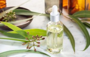 Eucalyptus Oil