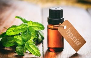 Peppermint oil