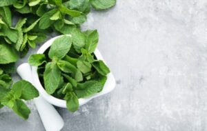 Blackheads Removal At Home With Mint Leaves
