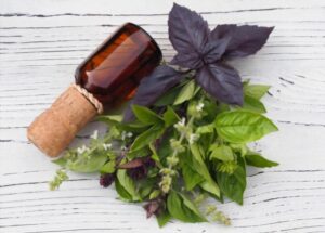Blackheads Removal At Home With Ocimum Extract